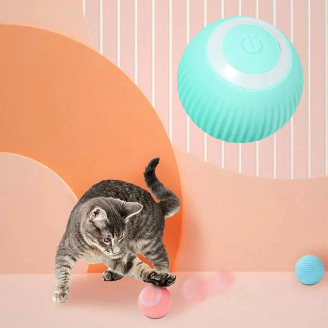 Interactive Pet Toy Moving Ball - HRB MARKET