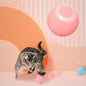 Interactive Pet Toy Moving Ball - HRB MARKET